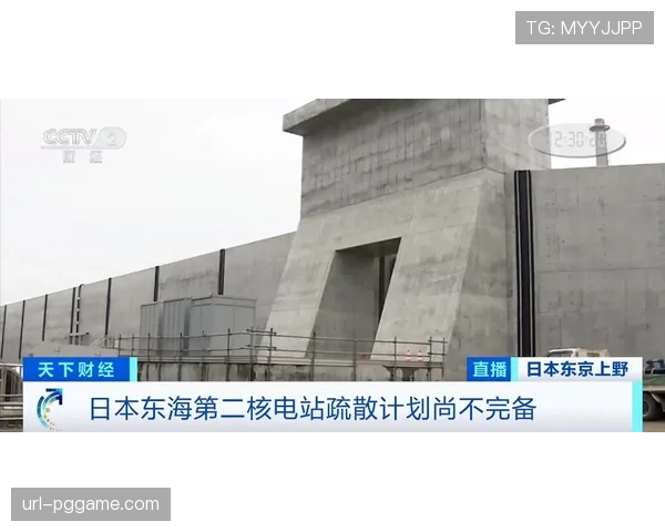 佛罗伦萨主场改造看台，场内塔吊引发安全担忧